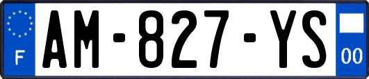 AM-827-YS