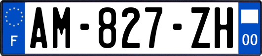 AM-827-ZH
