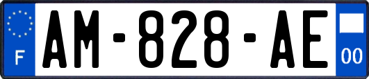 AM-828-AE