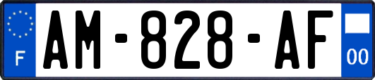 AM-828-AF