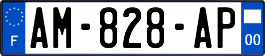 AM-828-AP