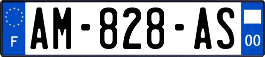 AM-828-AS