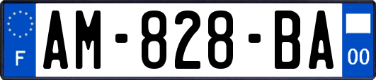 AM-828-BA