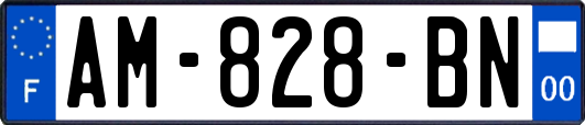 AM-828-BN