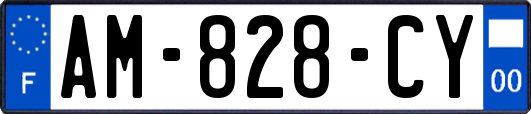 AM-828-CY