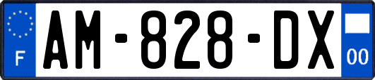 AM-828-DX