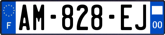 AM-828-EJ