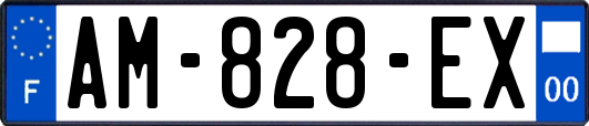 AM-828-EX