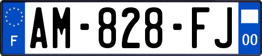 AM-828-FJ