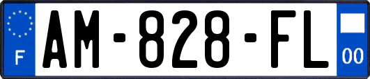 AM-828-FL