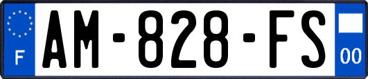 AM-828-FS