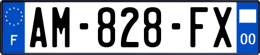 AM-828-FX