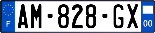 AM-828-GX