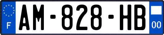 AM-828-HB