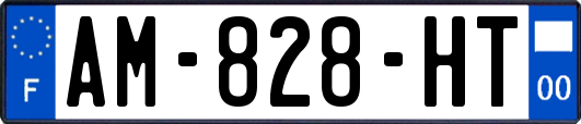AM-828-HT