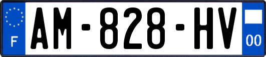 AM-828-HV