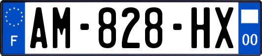 AM-828-HX