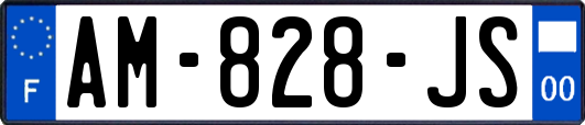 AM-828-JS