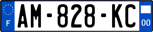 AM-828-KC