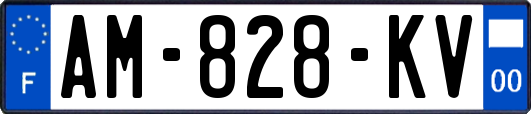 AM-828-KV