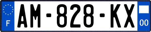 AM-828-KX