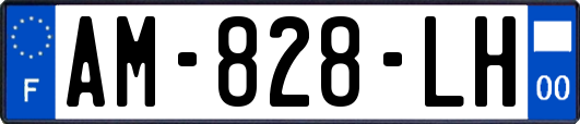AM-828-LH