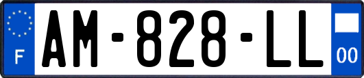 AM-828-LL
