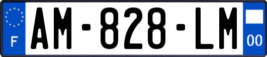 AM-828-LM