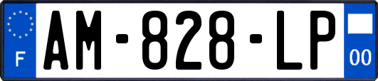 AM-828-LP