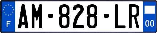 AM-828-LR