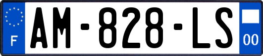 AM-828-LS