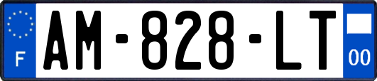 AM-828-LT