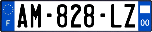 AM-828-LZ