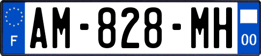 AM-828-MH