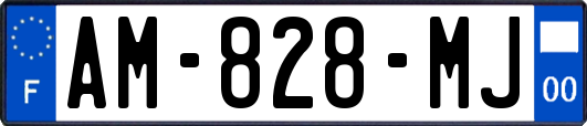 AM-828-MJ