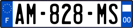 AM-828-MS