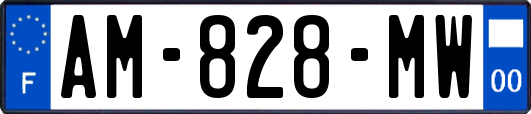 AM-828-MW