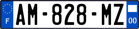 AM-828-MZ