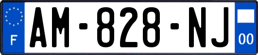 AM-828-NJ