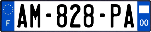 AM-828-PA