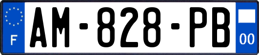 AM-828-PB