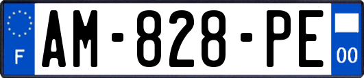 AM-828-PE
