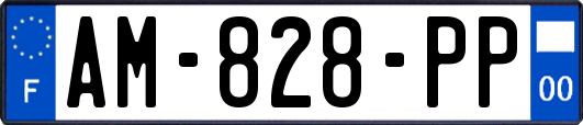 AM-828-PP