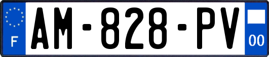 AM-828-PV