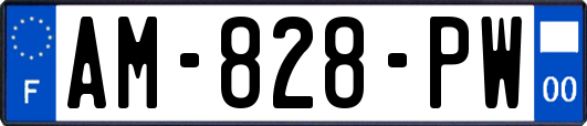 AM-828-PW