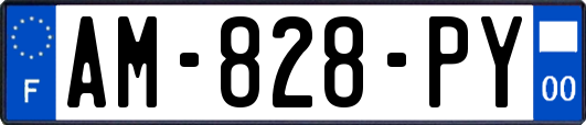 AM-828-PY