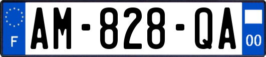 AM-828-QA