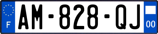 AM-828-QJ