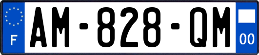 AM-828-QM