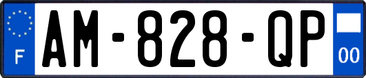 AM-828-QP